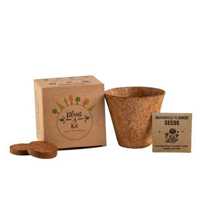 Seed Plantable Kit Seed Plantable Kit